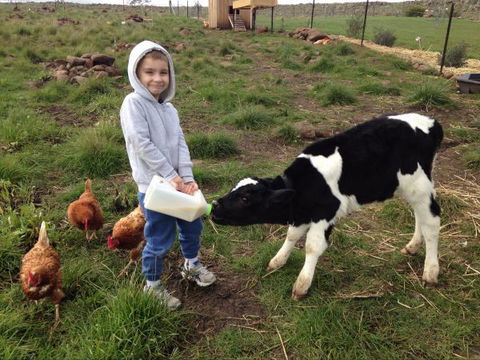 Yalooka Farm - Accommodation Cooktown 8
