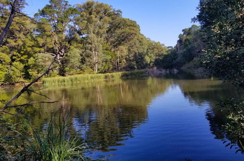 Ferny Hill Retreat - Accommodation Cooktown 3