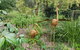 Ferny Hill Retreat - thumb 1