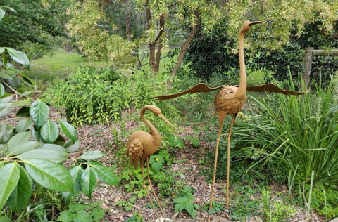 Ferny Hill Retreat - Accommodation Cooktown 1