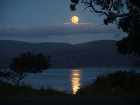 Burilda Waters - Accommodation Cooktown 4