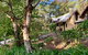 Emerald Star Cottages - thumb 4