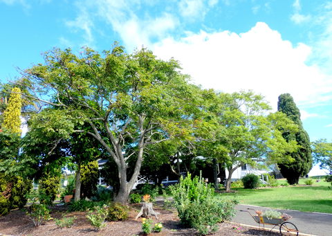 Forest Lodge Highfields - Accommodation Cooktown 3