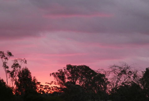 Forest Lodge Highfields - Accommodation Cooktown 4