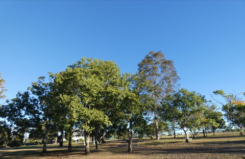 Forest Lodge Highfields - Accommodation Cooktown 6
