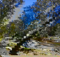 Highfield Farm and Woodland Bush Campsites - Accommodation Cooktown