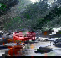 nightfall  camp - Accommodation Cooktown