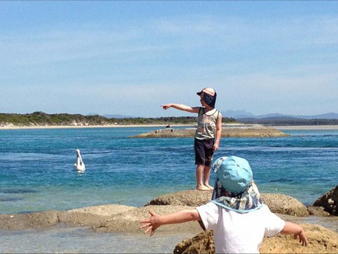 North East River Camping Ground - Accommodation Cooktown 0