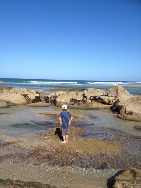 North East River Camping Ground - Accommodation Cooktown 1