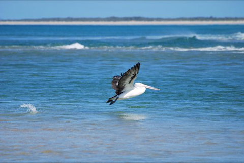 North East River Camping Ground - Accommodation Cooktown 5