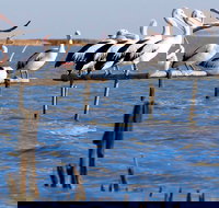 Pelican Perch Retreat - Accommodation Cooktown