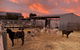 Tarnasey Farm - Schilling's Shack - thumb 4