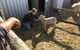 Tarnasey Farm - Schilling's Shack - thumb 6