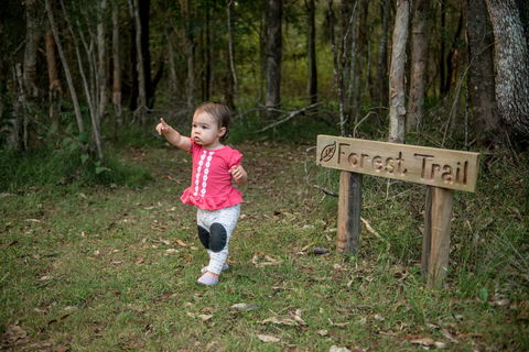 Telegraph Retreat Cottages - Accommodation Cooktown 4