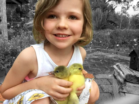 Telegraph Retreat Cottages - Accommodation Cooktown 9