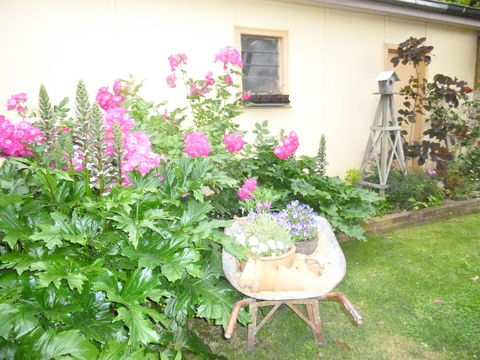 Aggies Bed And Breakfast - Accommodation Cooktown 2