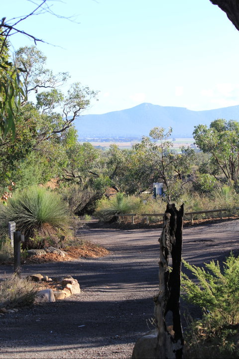 Aquila Eco Lodges - Accommodation Cooktown 5