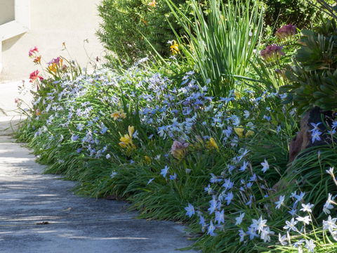 Austin Rise B&B - Accommodation Cooktown 2