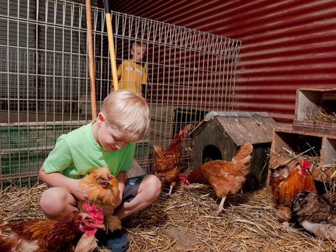 Bilpin Country Lodge - Accommodation Cooktown 2