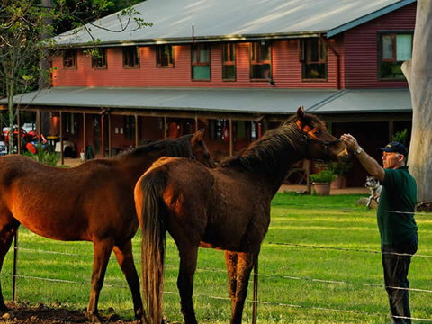 Bilpin Country Lodge - Accommodation Cooktown 3