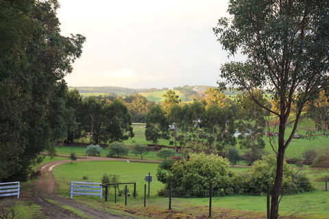 Blue House Bed And Breakfast - Accommodation Cooktown 2