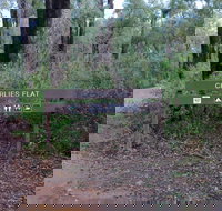 Charlies Flat Campground at Lane Poole Reserve - Accommodation Cooktown