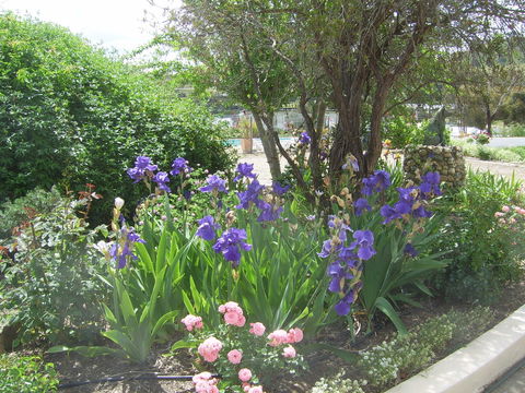 Garden Motor Inn (Golden Chain) - Accommodation Cooktown 7