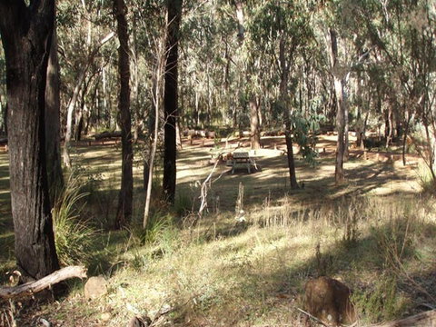 Greenbah Campground - Accommodation Cooktown 0