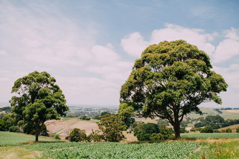 Kardella Country Homestead - Accommodation Cooktown 9
