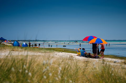 Rosebud Foreshore Camping - Accommodation Cooktown 0