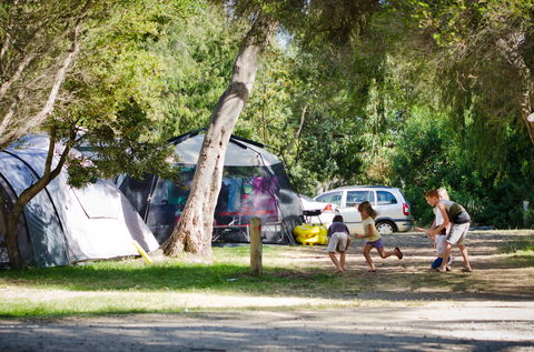 Rosebud Foreshore Camping - Accommodation Cooktown 2