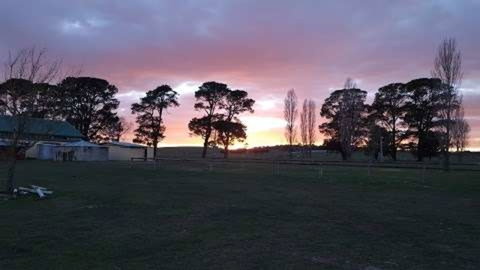 Braidwood Showground - Caravans And Camping - Accommodation Cooktown 0