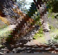 Centre Road Crossing Camp at Mount Frankland South National Park - Accommodation Cooktown