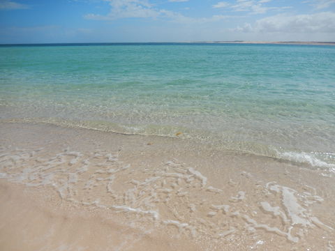 Gnaraloo Station - Accommodation Cooktown 0