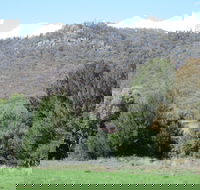 Jessica's Guest House and Vineyard - Accommodation Cooktown