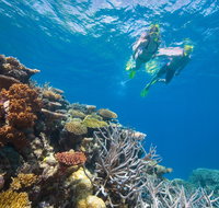 NRMA Cairns Holiday Park - Accommodation Cooktown
