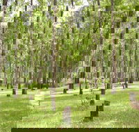 Nymboida River campground - Accommodation Cooktown