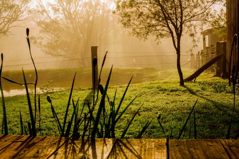 Tobruk Sydney Farm Stay - Accommodation Cooktown 1