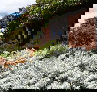 Kangaroos in the Top Paddock - Accommodation Cooktown