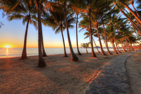 NRMA Palm Cove Holiday Park - Accommodation Cooktown 0