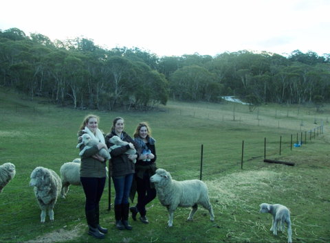 Old Minton Farmstay - Accommodation Cooktown 1