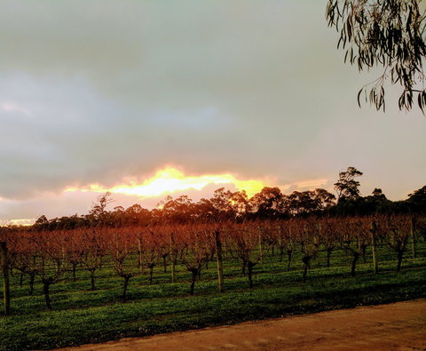 The Grove Distillery And Brewery - Accommodation Cooktown 0