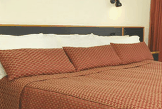 Margarets Forest Holiday Apartments - Accommodation Cooktown