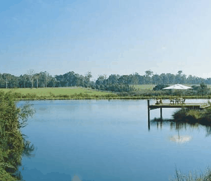 Forest Rise Eco Retreat - Accommodation Cooktown 0