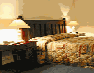 Comfort Inn Treetop Walk - Accommodation Cooktown