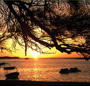 Pelican's Nest - Accommodation Cooktown