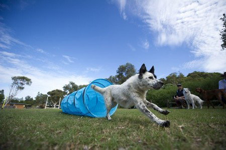 North Beach Holiday Park - Accommodation Cooktown 1