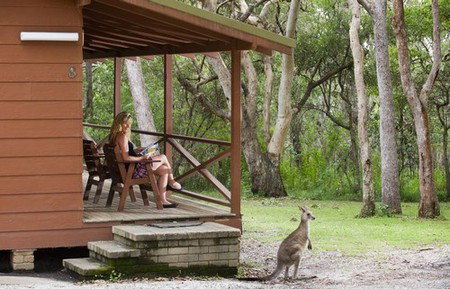Hungry Head Cabins - Accommodation Cooktown 1