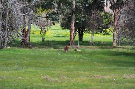 Stoneville WA Accommodation Cooktown