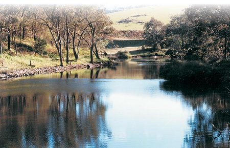 Bridgetown Riverside Chalets - Accommodation Cooktown 2